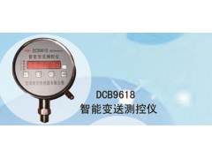 兆恒傳感器廠價(jià)供應(yīng)DCB-9618智能變