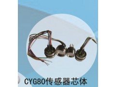兆恒傳感器廠價(jià)供應(yīng)CYG80傳感器芯體