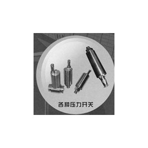 華瑞傳感廠價(jià)供應(yīng)各種壓力開關(guān)