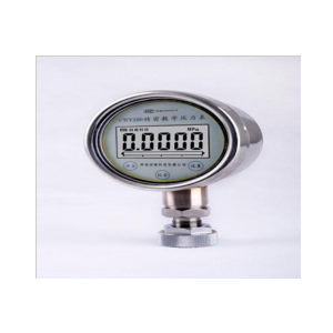 創(chuàng)威科技 廠價直銷精密數(shù)顯壓力表