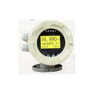 杭州通聯(lián)自動化供應(yīng) 電磁流量計表
