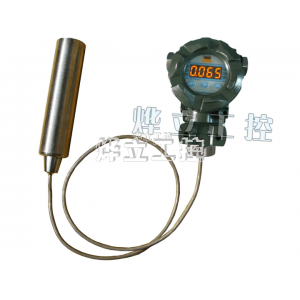 WMY-A-XS防腐抗堵不銹鋼液位變送器
