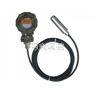 WMY-D纜式帶顯示液位變送器