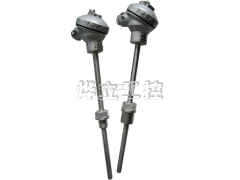 WZP-231B 一體式溫度變送器