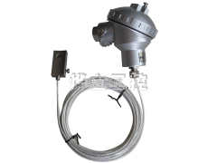 WZP外貼式溫度變送器