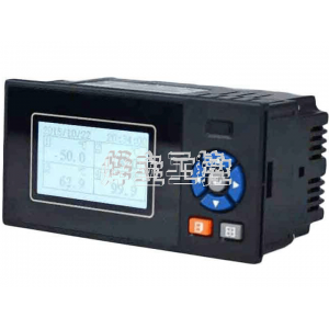 Y2100E單色無紙記錄儀