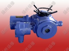 多回轉(zhuǎn)電動執(zhí)行器DZW10 DZW20 DZW30