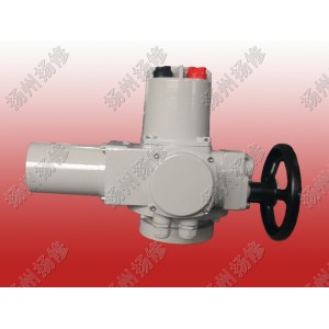 部分回轉(zhuǎn)電動執(zhí)行器DQW90 DQW120 DQW200