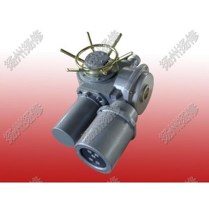 機電一體化開關(guān)型執(zhí)行器DZW20-24-A00-WK