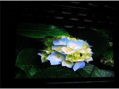 P4室內(nèi)顯示屏一平方有多少像素點(diǎn)數(shù)