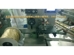 甘肅受歡迎的調(diào)味料投包機(jī)-包包好包