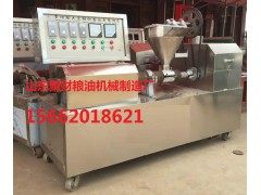 全自動豆制品機械聚財人造肉機專業(yè)