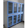 遠(yuǎn)誠高性價(jià)比的理化生實(shí)驗(yàn)室儀器柜|促銷理化生實(shí)驗(yàn)室儀器柜藥品柜
