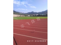 廣東省惠州市塑膠跑道|塑膠跑道廠家