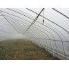 塑料溫室制造商-山東溫室大棚公司