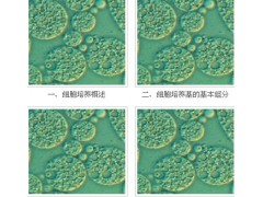 宜興賽爾生物提供宜興細胞培養(yǎng)基，