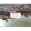 鎮(zhèn)江市別墅景觀魚池水凈化過濾循環(huán)增氧一體化系統(tǒng)