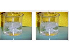 DMEM/F-12培養(yǎng)基優(yōu)質(zhì)供應(yīng)商宜興賽爾