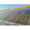 淄博具有口碑的塑料大棚膜供應(yīng)-工程地膜價格
