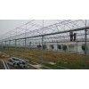 溫室大棚建造廠家-河北智能溫室
