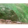 河北優(yōu)良的包塑邊坡防護網(wǎng) 山東包塑邊坡防護網(wǎng)