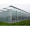 日照花卉溫室建造——精良的養(yǎng)殖育苗溫室大棚供應