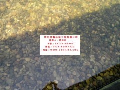 無(wú)錫市小區(qū)景觀河水凈化過(guò)濾循環(huán)增