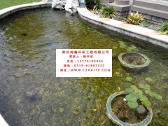 蘇州市小區(qū)景觀河水凈化過濾循環(huán)增