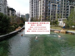 溧陽(yáng)市小區(qū)景觀魚(yú)池水凈化過(guò)濾循環(huán)