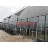 連棟薄膜溫室_山東優(yōu)質(zhì)連棟薄膜溫室建設(shè)公司