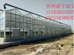 智能溫室怎么建設(shè)合理？智能溫室比