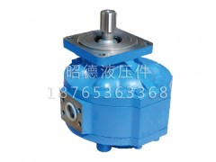 【廈工XG953裝載機(jī)工作泵CBG3100齒