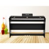 錦樂(lè)電子專業(yè)供應(yīng)凱麗德鋼琴，報(bào)價(jià)合理的電子鋼琴