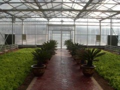 emm優(yōu)質(zhì)農(nóng)業(yè)大棚設(shè)施，生態(tài)餐廳專業(yè)