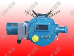 揚修電力F-DZW10扭矩100NM智能型執(zhí)