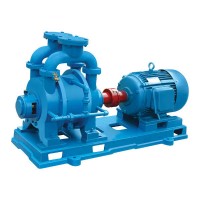 弘凌專業(yè)生產(chǎn)真空泵,SK系列水環(huán)式真空泵