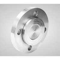 上海周衍自動(dòng)化儀表平齊式法蘭密封件