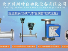 分析熱式氣體質量流量計有具有那些優(yōu)缺點說明