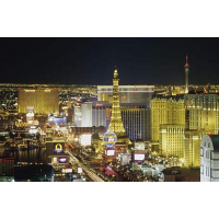 2019年美國拉斯維加斯消費(fèi)禮品展