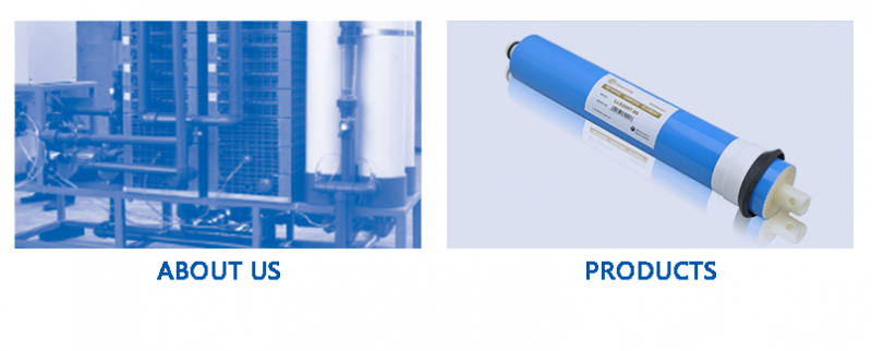 QQ圖片20190527083523