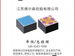 江蘇德爾森認(rèn)領(lǐng)《圖頁儀表牌》黑桃2為專屬牌