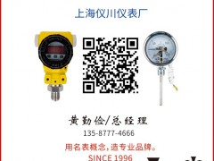 上海儀川認(rèn)領(lǐng)圖頁(yè)儀表牌梅花Q為專屬牌