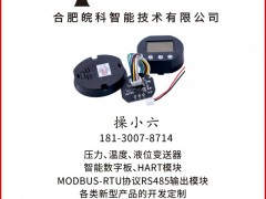 合肥皖科智能認(rèn)領(lǐng)圖頁(yè)儀表牌梅花10為專屬牌