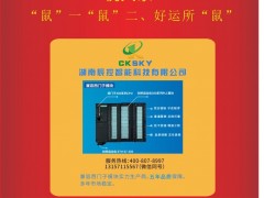 湖南辰控智能市場部經(jīng)理：肖婷2020新春寄語 一百零八星報喜之天巧星