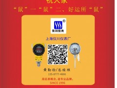 上海儀川儀表總經(jīng)理  黃勤儉2020新春寄語(yǔ) 一百零八星報(bào)喜之地走星