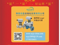 陜西諾盈自動(dòng)化儀表 總經(jīng)理 李軍榮2020新春寄語(yǔ) 一百零八星報(bào)喜之地樂(lè)星