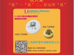 上海德薩堡傳感器總經(jīng)理 王欣2020新春寄語 一百零八星報(bào)喜之地鎮(zhèn)星