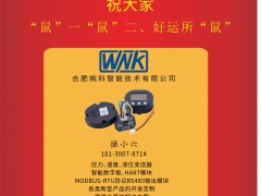 皖科智能總經(jīng)理 張從江 2020新春寄語 一百零八星報(bào)喜之天魁星