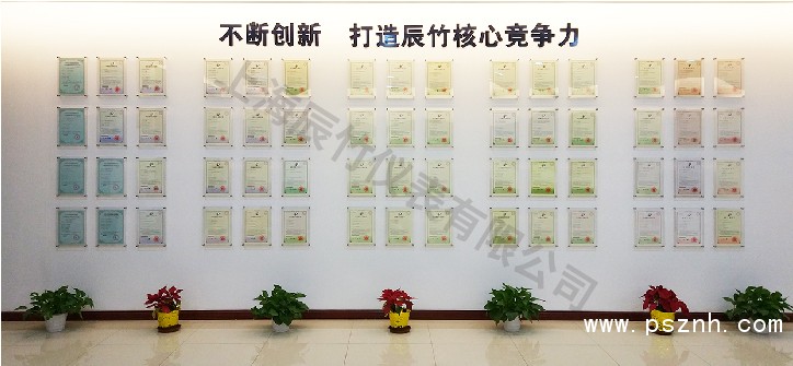 榮譽(yù) | 辰竹董事長(zhǎng)王竹平獲評(píng)CAIMRS領(lǐng)軍力量之智未來(lái)&middot;產(chǎn)業(yè)先鋒