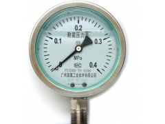 耐震壓力表 耐震壓力表派晟 耐震壓